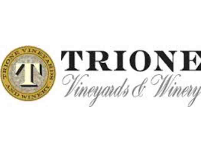 Tour and Tasting for 4 at Trione Vineyards and Winery in Geyserville