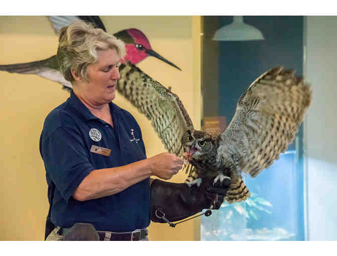 Four Guest Passes to the Lindsay Wildlife Museum