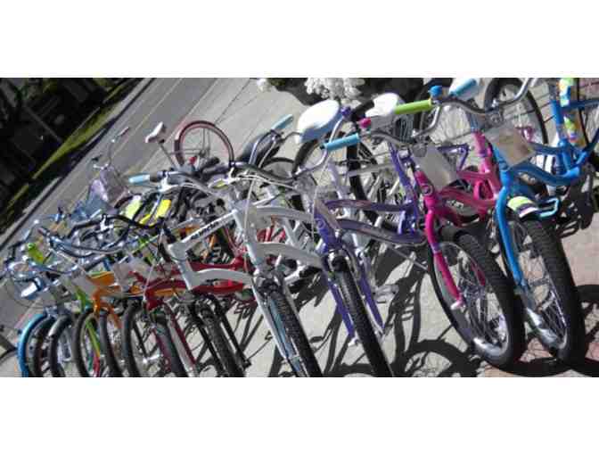 Full Day Bike Rental for Four People at Wine Country Cyclery in Sonoma