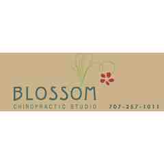 Blossom Chiropractic Studio