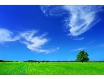 Quest Commercial PHX Electronic Air Purification System (2 of 2)