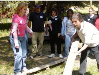 Supreme Team Day - Teambuilding Day with Dr. Relly Nadler  (up to 20 people)