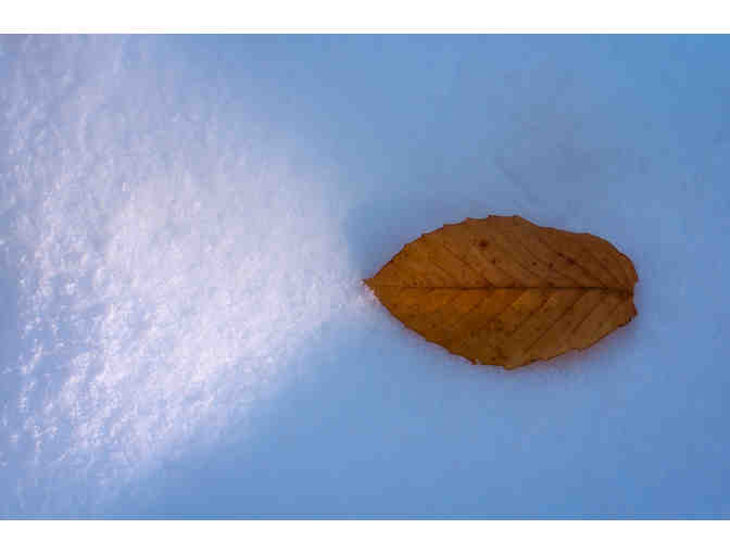 Landscape Photo Print (20x30) of your Choosing