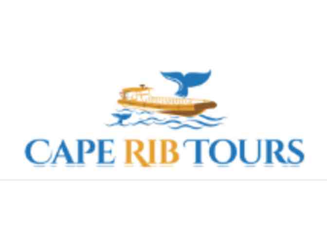 2 Tickets to Cape Rib Tours - Fastest Whale Watch Boat - Photo 2