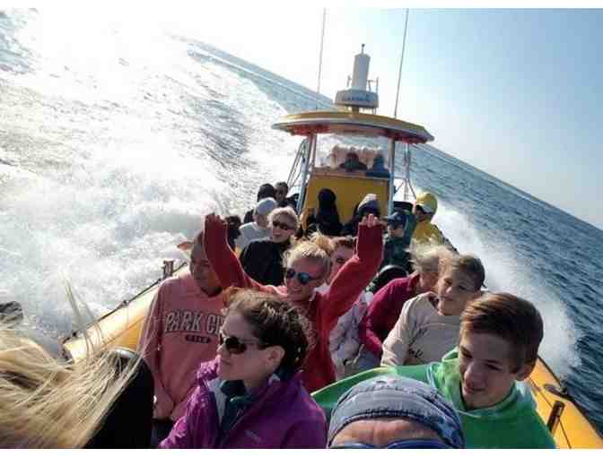 2 Tickets to Cape Rib Tours - Fastest Whale Watch Boat - Photo 1
