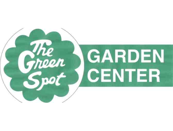 Holiday Tree and Decor