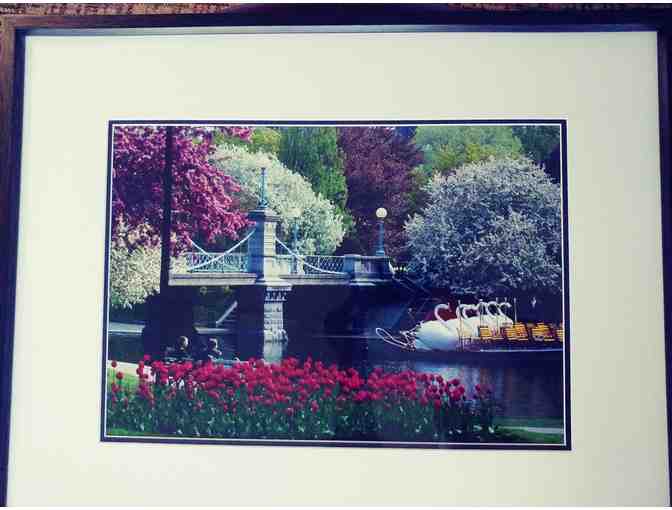 Bridge with Swan Boats photo - Photo 1