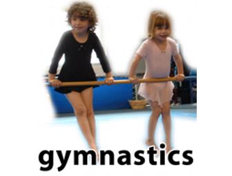 Mega Gymnastics - 1 Month Free Classes, paid Annual membership fee for 1 yea & Gift Basket