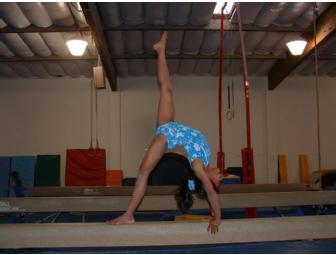 Mega Gymnastics - 1 Month Free Classes, paid Annual membership fee for 1 yea & Gift Basket