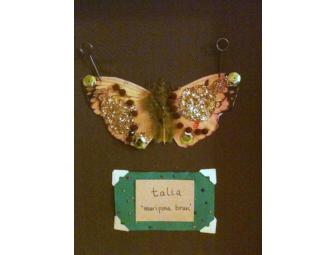 Nicole Ford's 2nd Grade Project