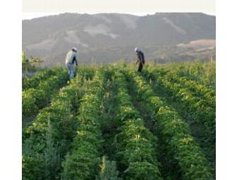 West Marin (MALT) Hike & Tour for two