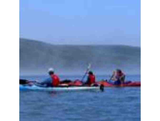 Point Reyes Outdoors -  Morning Kayak Tour