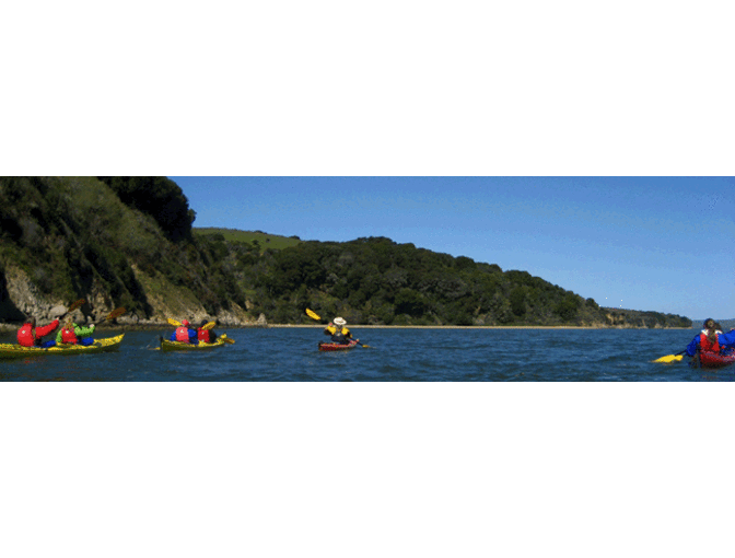 Point Reyes Outdoors -  Morning Kayak Tour