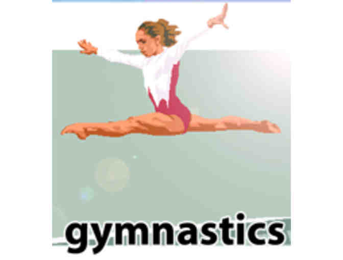 Gymnastics Birthday Party  at San Anselmo Recreation