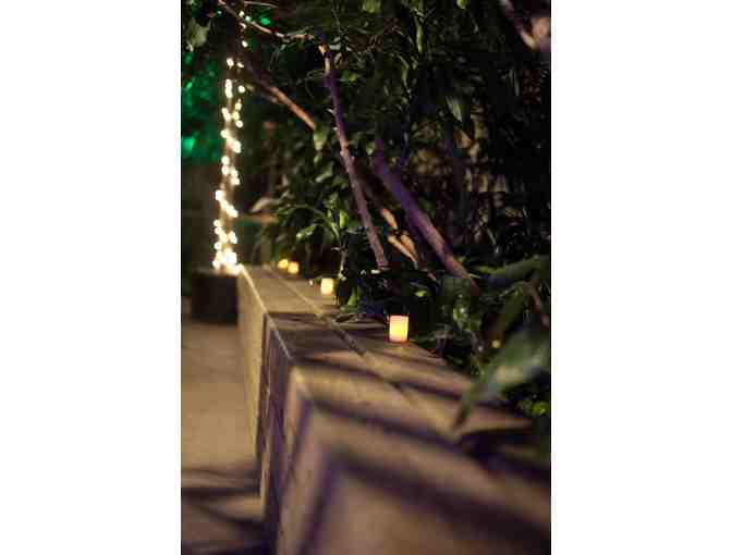 Private Cocktail Party at Franklin Park Zoo's Tropical Forest for up to 25 Guests