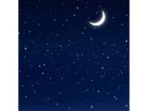 Private Planetarium Show for 25 at the University of Michigan Natural History Museum