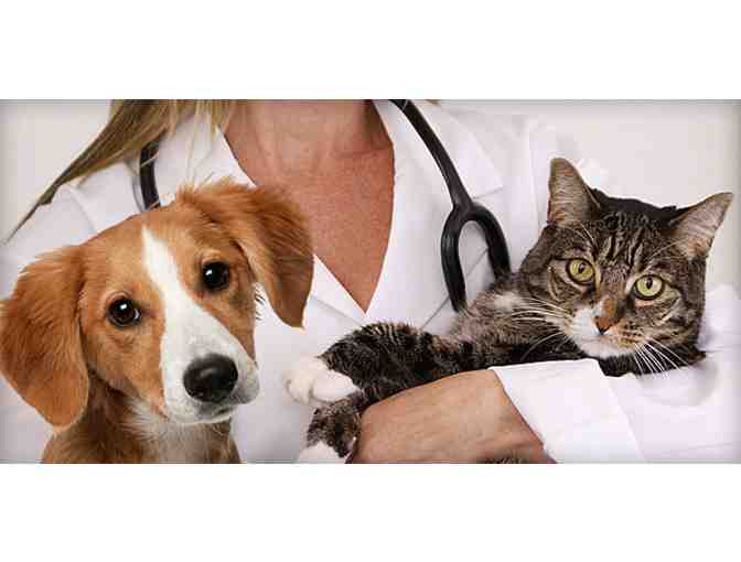 Pet Lover's Basket, Discounted Adoption & Wellness for a Year