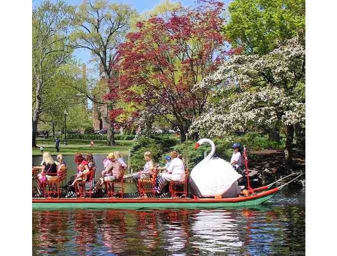 Swan Boats of Boston rides