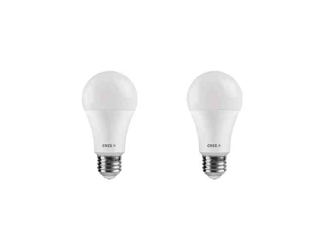 A19 LED light Bulbs (24 count) - Photo 1