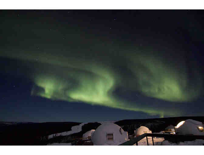 Iditarod and Aurora Adventure