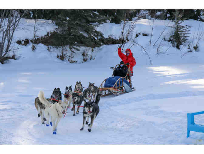 Iditarod and Aurora Adventure