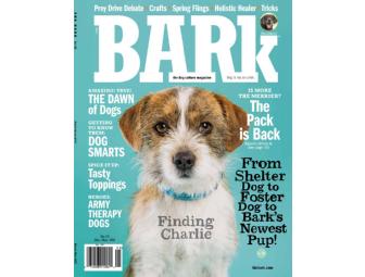 One Year of BARK Magazine