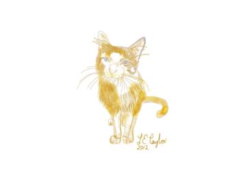 Custom Illustration of Your Pet by Artist Jennifer Taylor