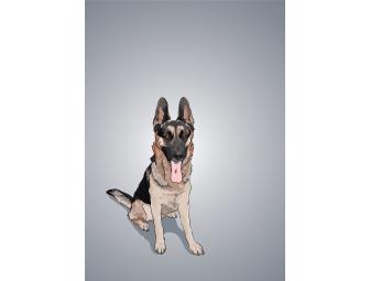 Custom Pet Illustration printed on an 11x14 archival print