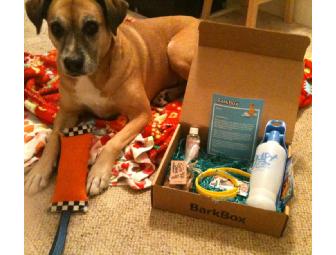 One Month Subscription to BarkBox