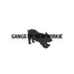 Gangs of New Yorkie