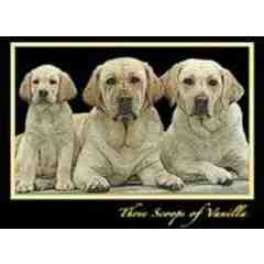Three Scoops of Vanilla