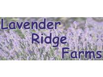 Cooking Class for 10 at Lavender Ridge Farms
