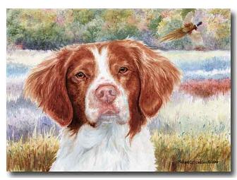 Brittany Head Study III