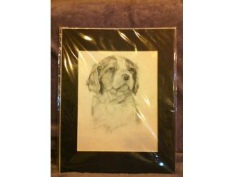 Brittany Puppy in Pencil