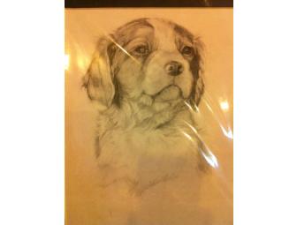 Brittany Puppy in Pencil