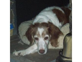 Special Item #2 - Jack