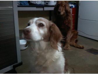 Special Item #2 - Jack