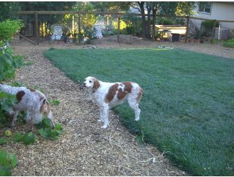 Special Item #3 - Cadie