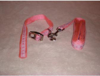 Pink Hearts Leash and Collar Set (#1)
