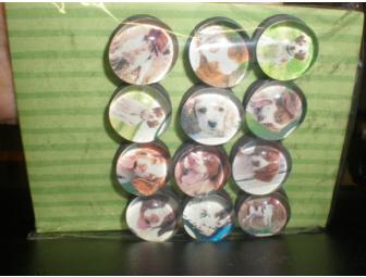12 Brittany Magnets