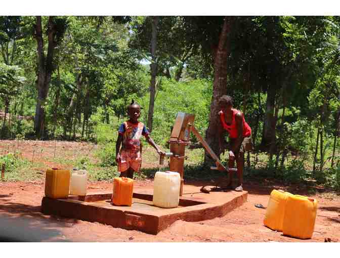 Live Auction - Naming Rights for A Child's Hope Water Well
