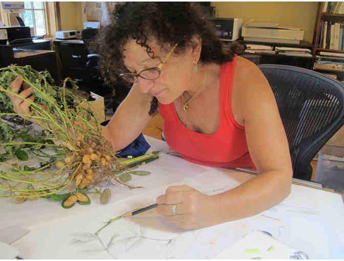 Draw Plants with Wendy Hollender - Bring A Group or Just For You!