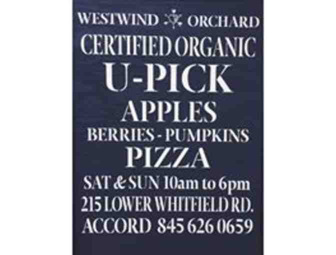 $100 Gift Certificate to Westwind Orchard & Cidery in Accord, NY