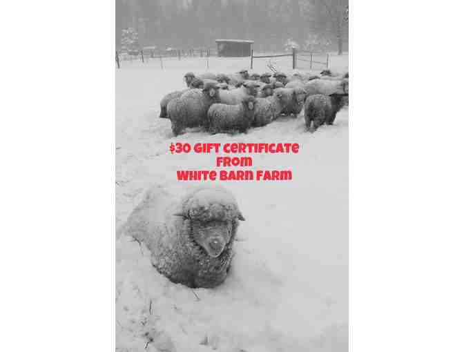 $30 Gift Certificate to White Barn Sheep & Wool in Gardiner, NY