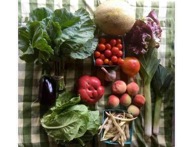 4 Farm-Fresh Organic Vegetable Baskets from Tributary Farm in High Falls, NY - Photo 1