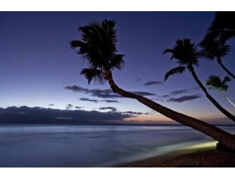 TR-Beachfront Hawaiian Oasis (HI2024a-20)-Big Island