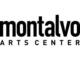 Villa Chamber Music Series Concert for 2 at Montalvo Arts Center