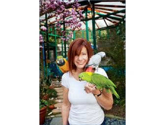 Private Tour and Refreshments at Pandemonium Aviaries for 4