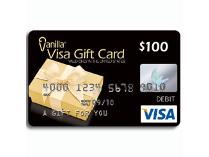 $100 VISA Gift Card