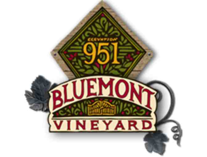 Wine & Food Tasting for 12 at Bluemont Vineyard (Bluemont, VA)